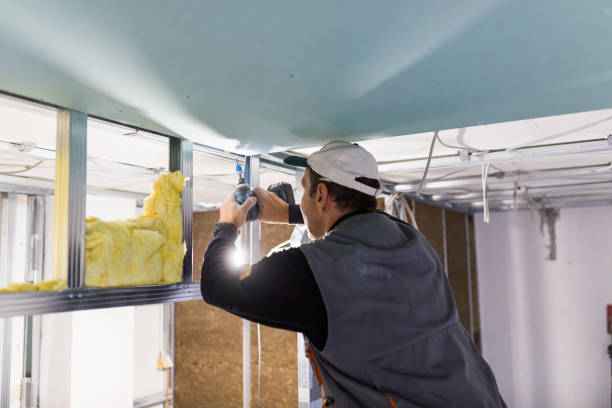 Best Insulation Removal  in Hoosick Falls, NY